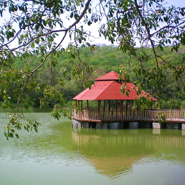 Visita la Laguna de Alcuzahue en Colima